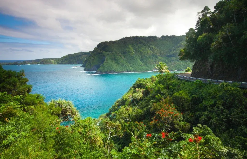 Scenic coastal view with blue ocean, lush green hills, and a winding road.
