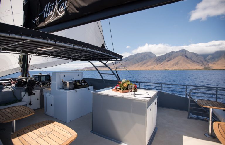 Sailing catamaran deck with bar, ocean, and island view.
