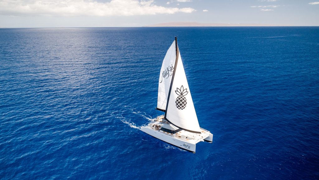 Sailboat with pineapple logo on ocean under a cloudy sky.