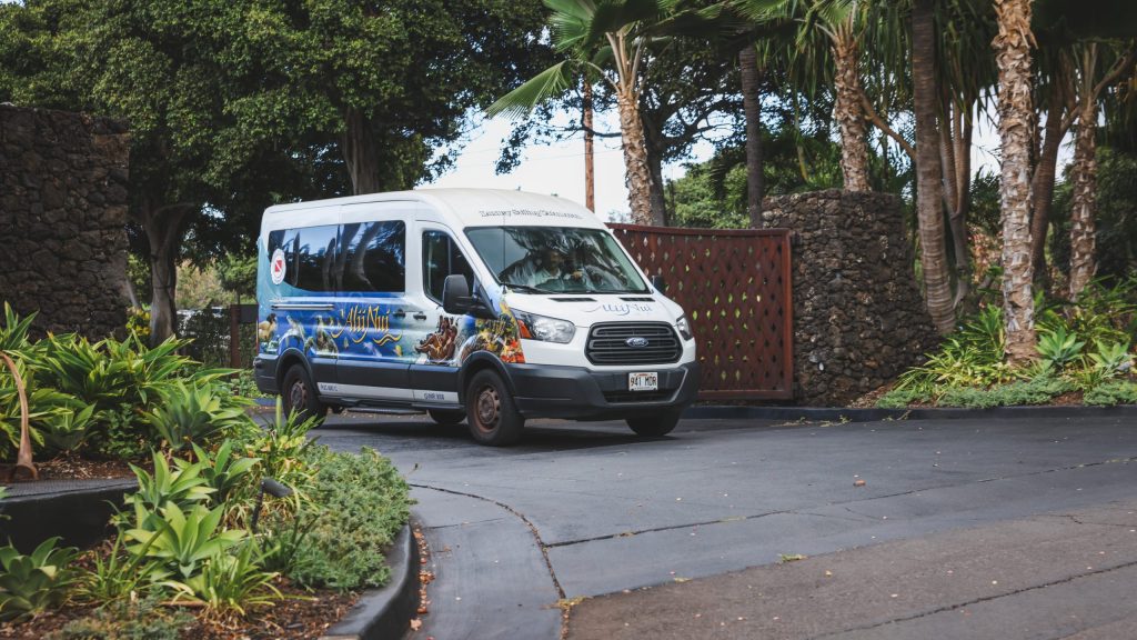 White van with ocean-themed graphics driving on a road, surrounded by tropical plants and trees.