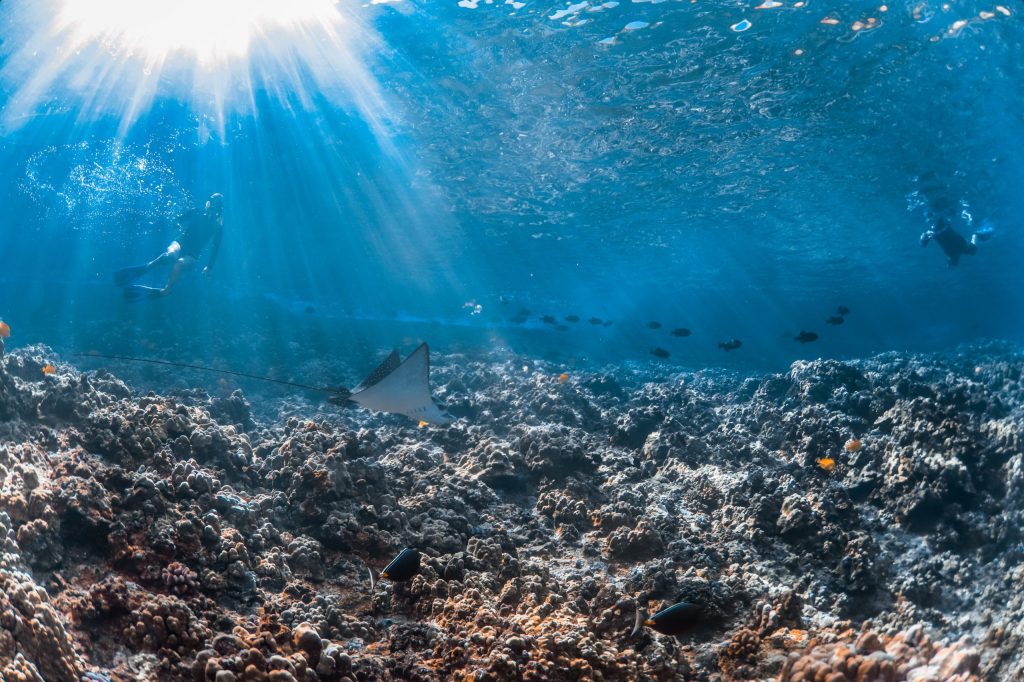 Underwater scene with sun rays, divers, fish, and rocky seabed.