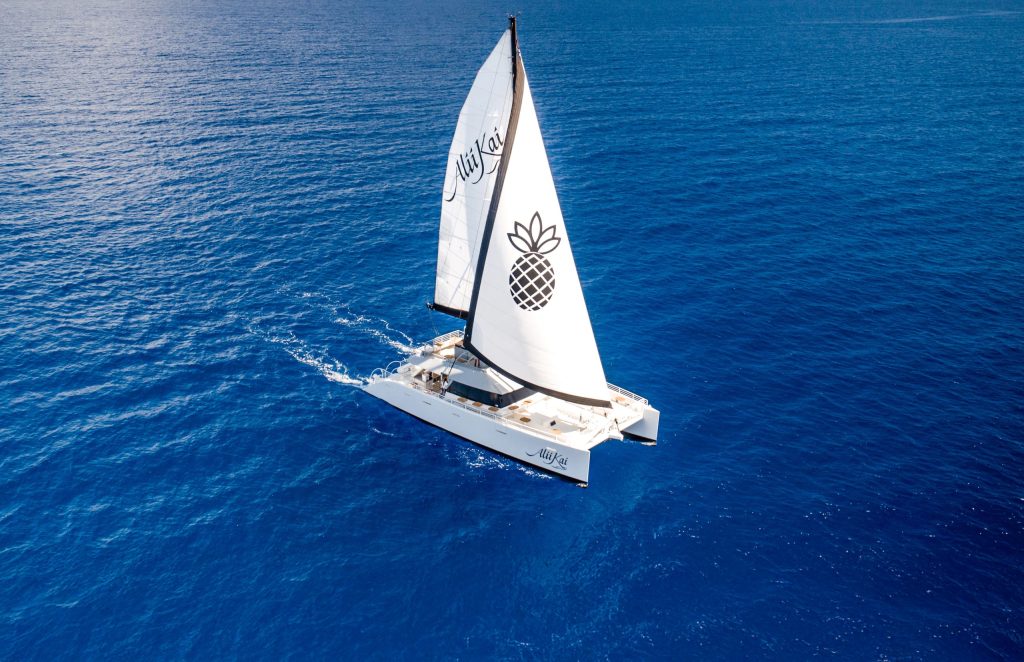 Catamaran with pineapple sail logo sailing on vast blue ocean.