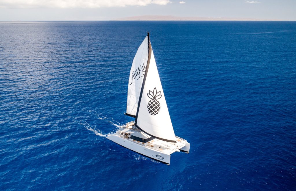 Sailboat with pineapple logo on blue ocean under clear sky.
