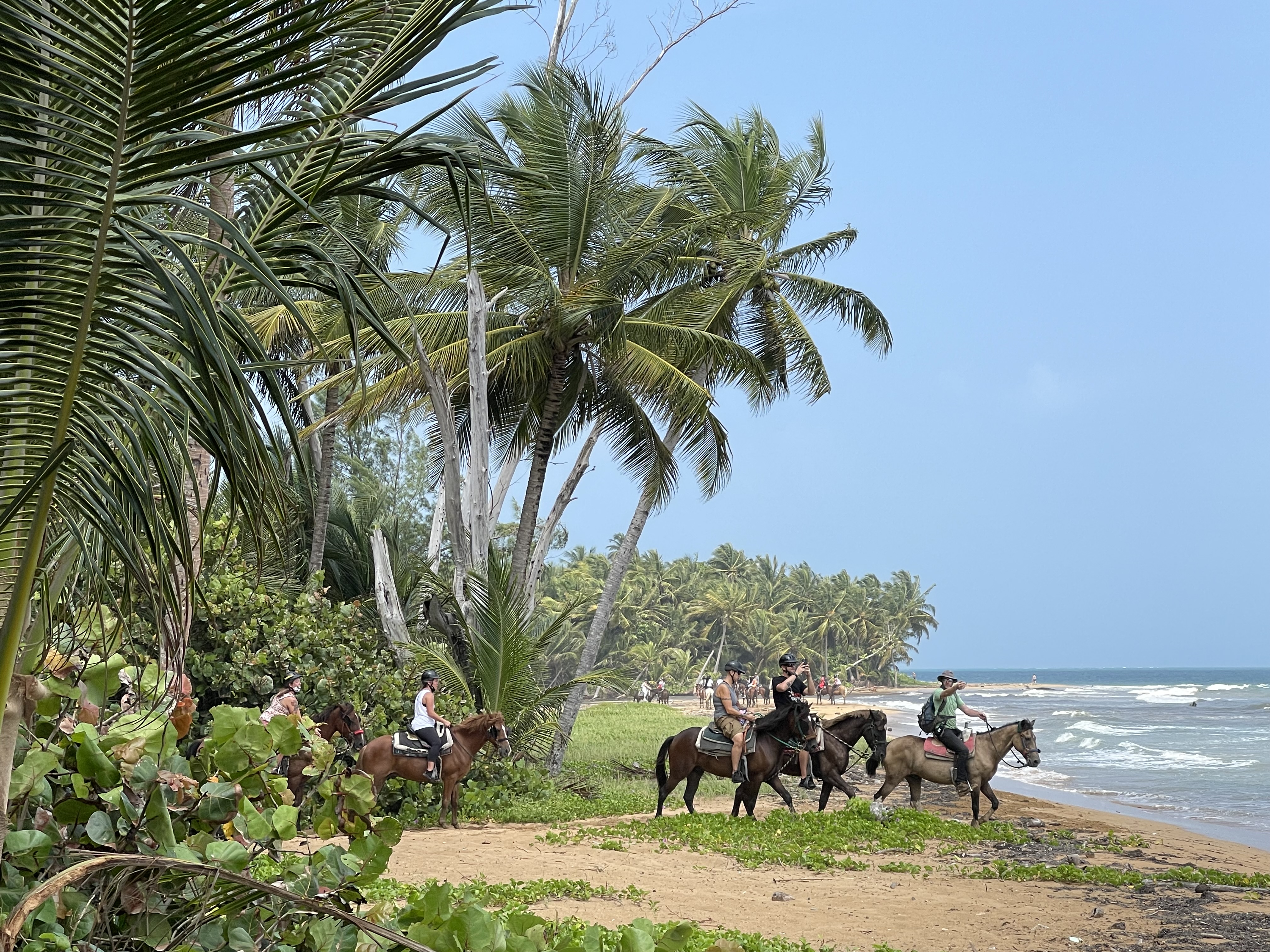 Group horseback riding along a tropical beach under palm trees.