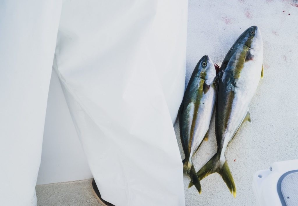 Two fish on a boat deck next to a person in white pants.