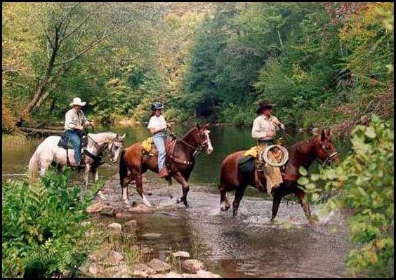 Three people riding horses through a shallow river in a forested area.