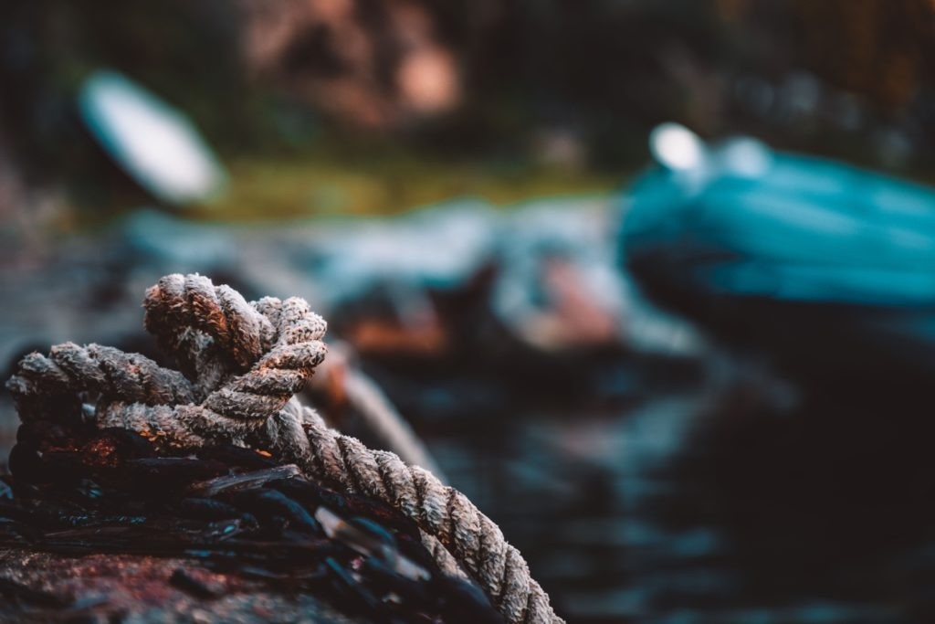 Close-up of a weathered rope on a log with blurred background of water and shoreline.