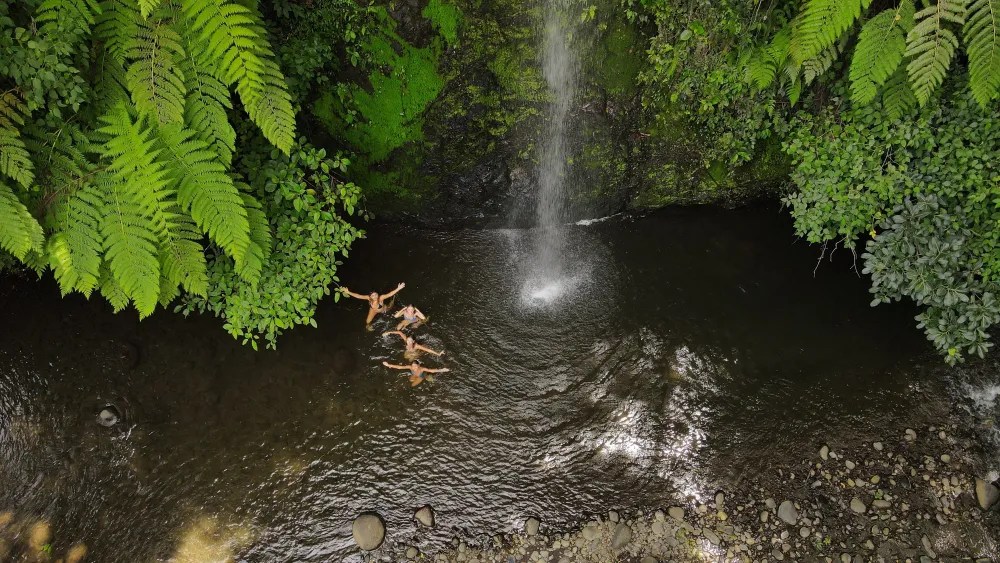 Exploring Costa Rica: Complete Guide to the Land of Pura Vida