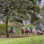 People riding horses in a line through a forested area.
