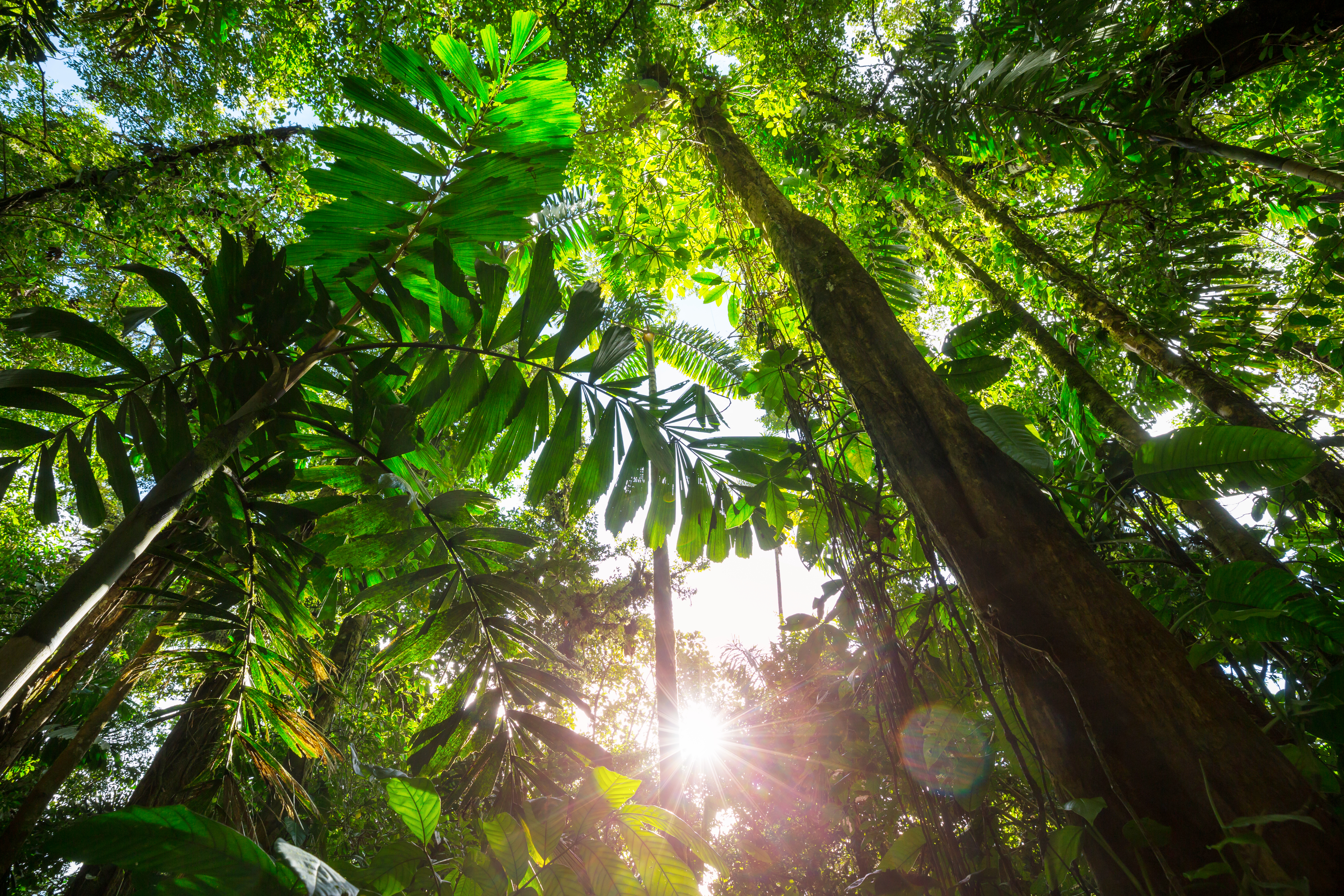 Best Time to Visit Guanacaste, Costa Rica: Seasonal Tips & Things to Do at rincon
