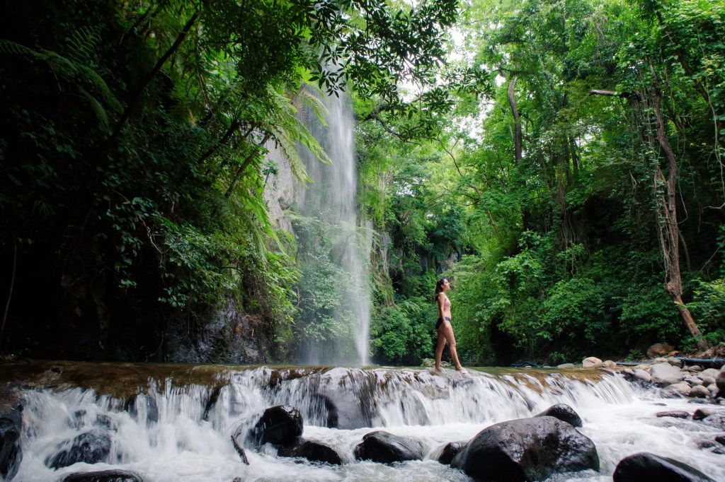 Person stands near a waterfall surrounded by lush greenery.