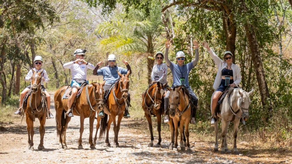 Six people riding horses on a trail, surrounded by trees.