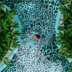 Person swimming in patterned pool surrounded by green plants.