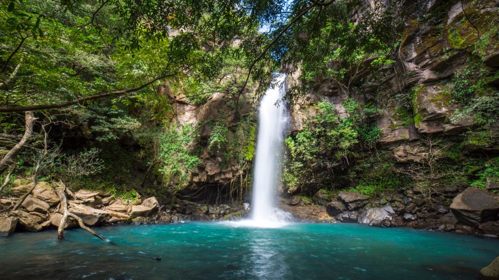 Una catarata que cae en una piscina azul cristalina rodeada de exuberante follaje verde.