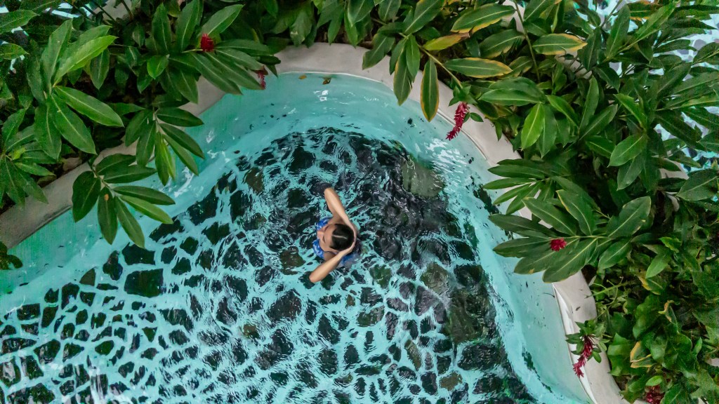 Person swimming in a circular pool surrounded by green foliage.