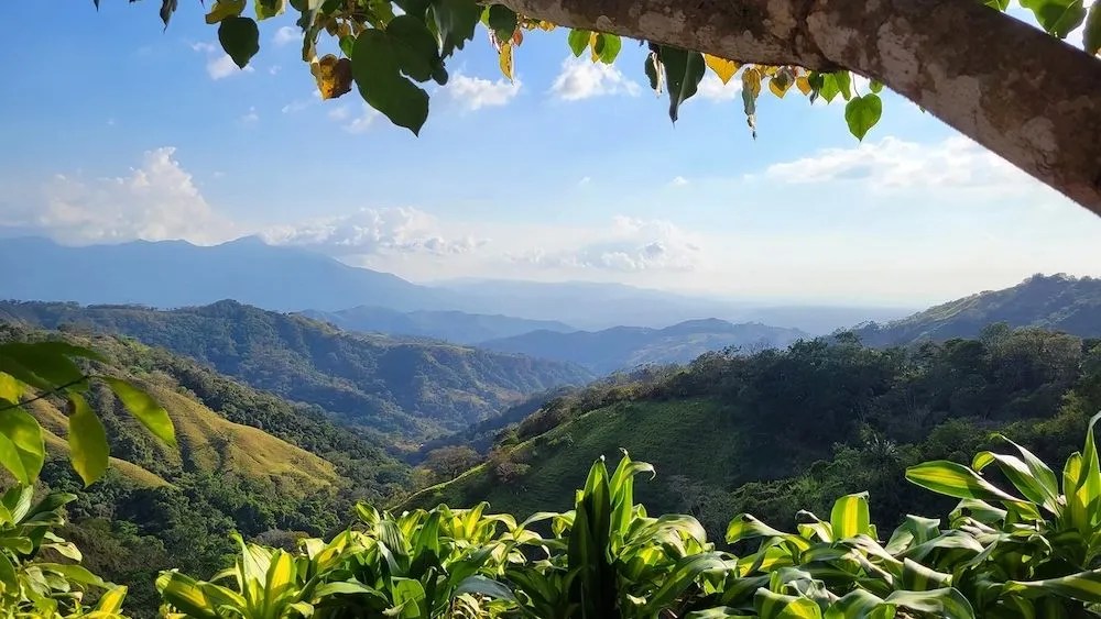 View of lush green hills and distant mountains under a clear blue sky, framed by tree branches and leaves.