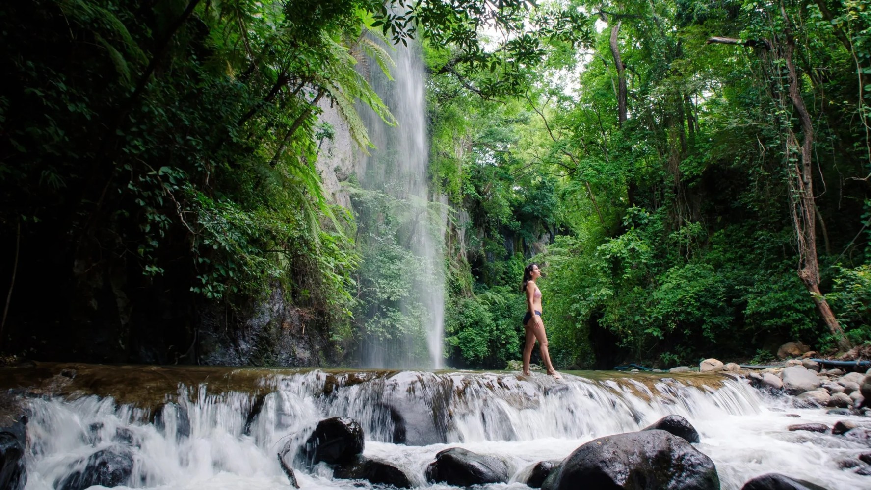 Persona de pie sobre rocas cerca de una cascada en un exuberante bosque verde.