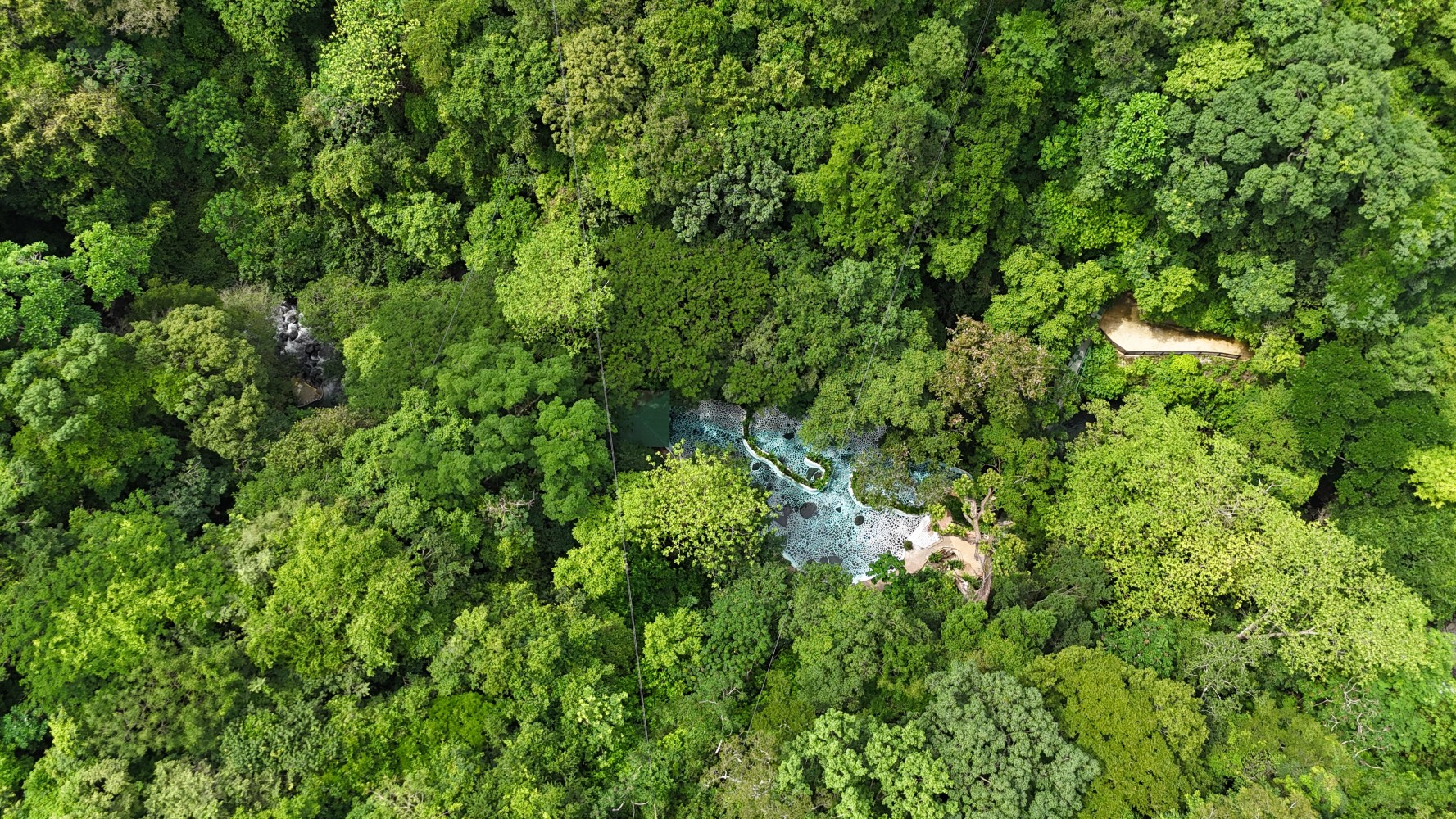 Aerial view of dense green forest with a small blue river running through it.