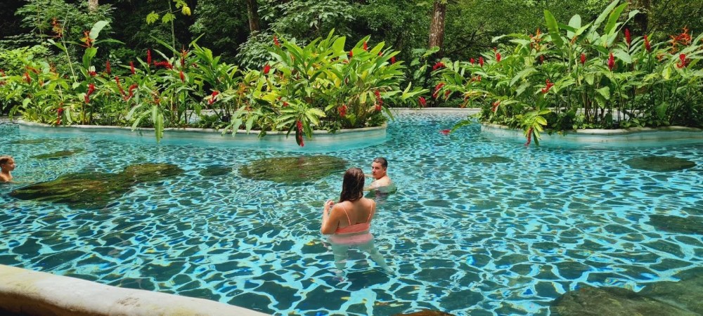 Gente nadando en una piscina rodeada de exuberantes plantas tropicales y flores rojas.
