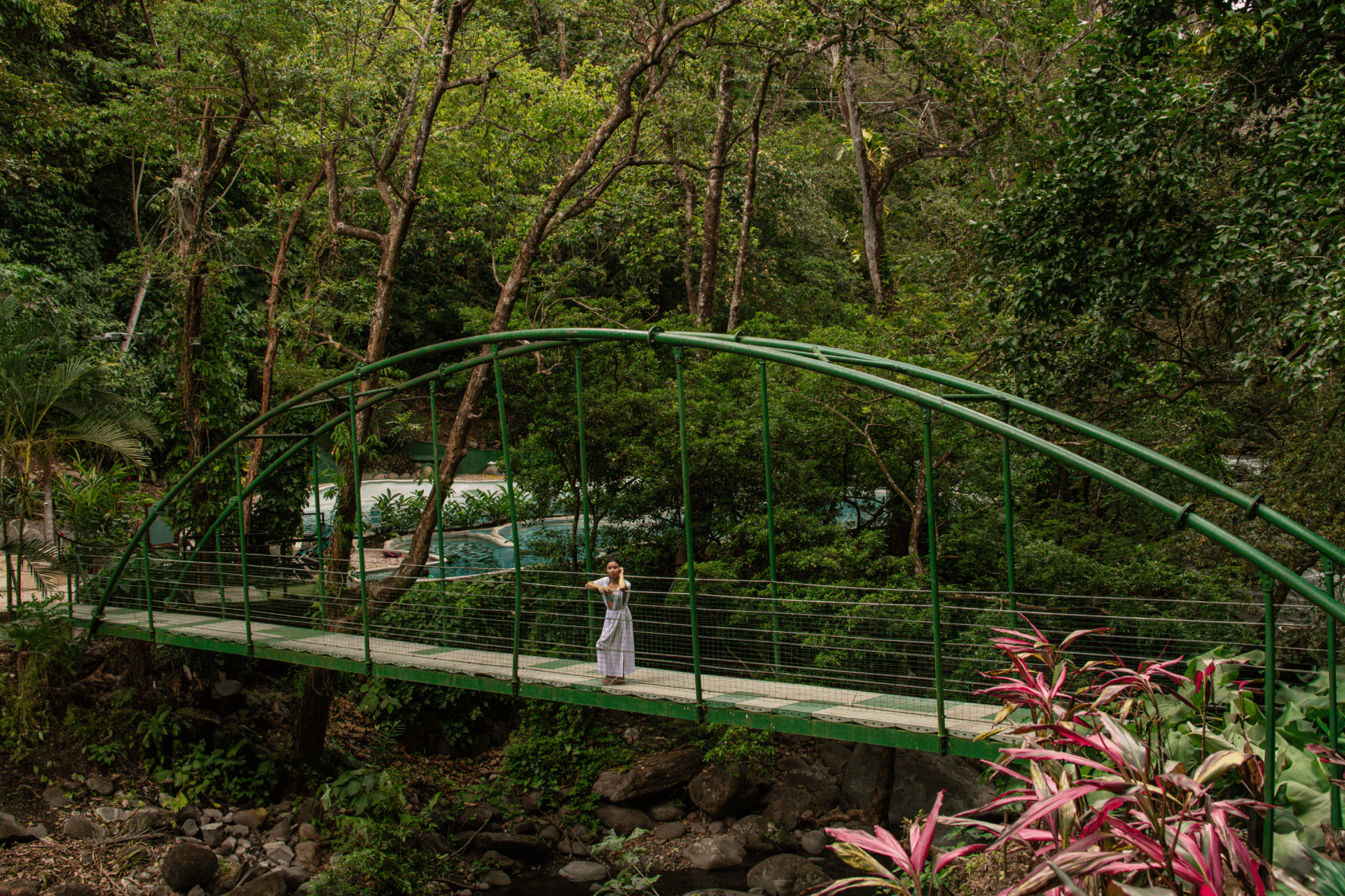 Person walking on a green arch bridge surrounded by dense trees and plants.