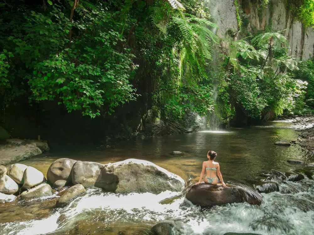 Person sitting on a rock in a lush, green riverscape.