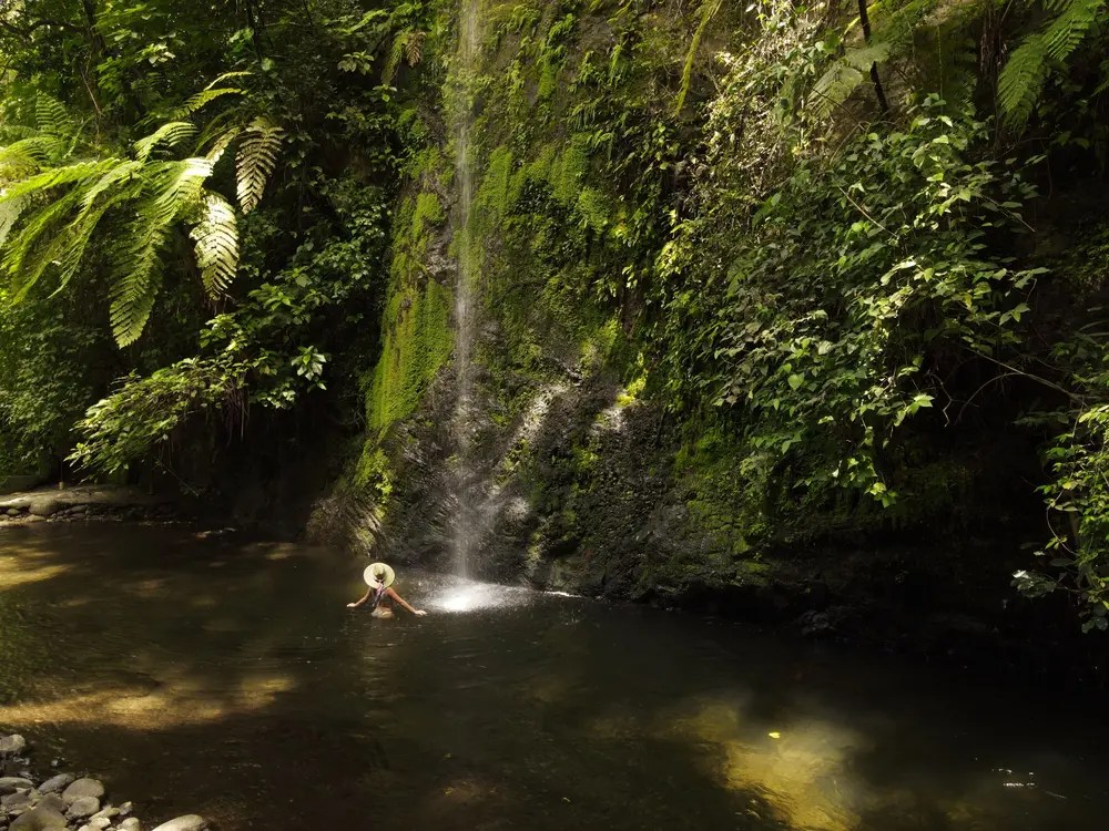 Person in a hat stands under a small waterfall in a lush, green forest.