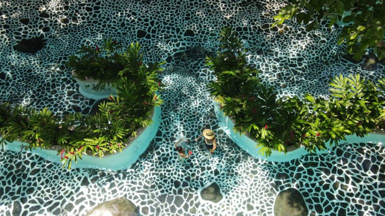 People walk on mosaic path with lush greenery.